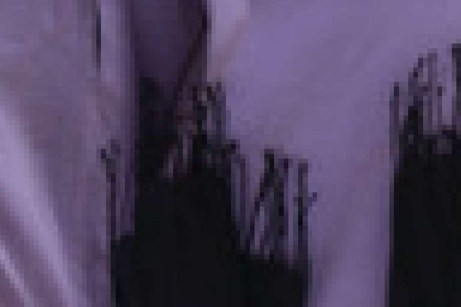 kideaz copyright cape centre des arts pluriels ettelbruck  i am waiting for the happiness