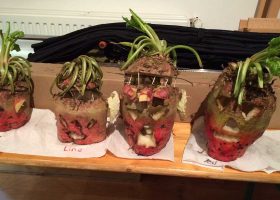 kideaz copyright de peppenger musee trauliicht atelier