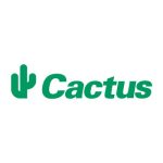 kideaz copyright cactus logo
