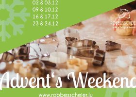 kideaz copyright robbesscheier advents week end