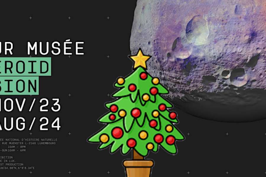 kideaz copyright mnhn musee national dhistoire naturelle  xmas guided tour fr
