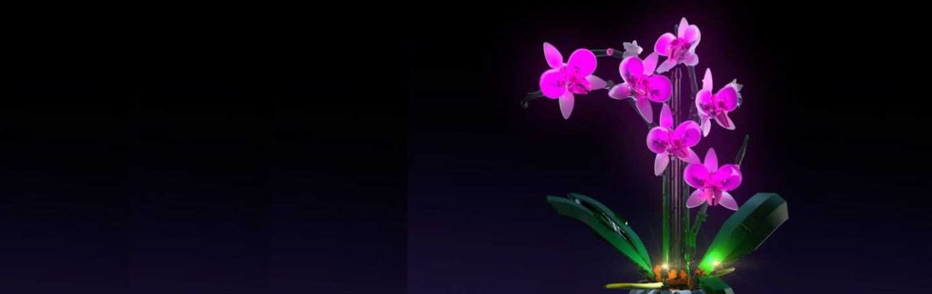 kideaz copyright jbf toys and trains banner 2 lego flower