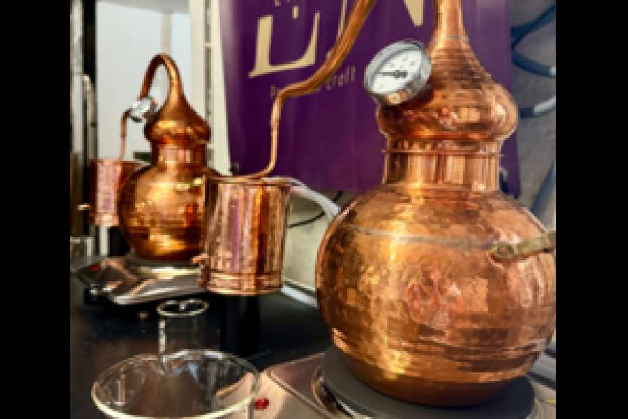 kideaz copyright event  gin school cre ton propre gin 1