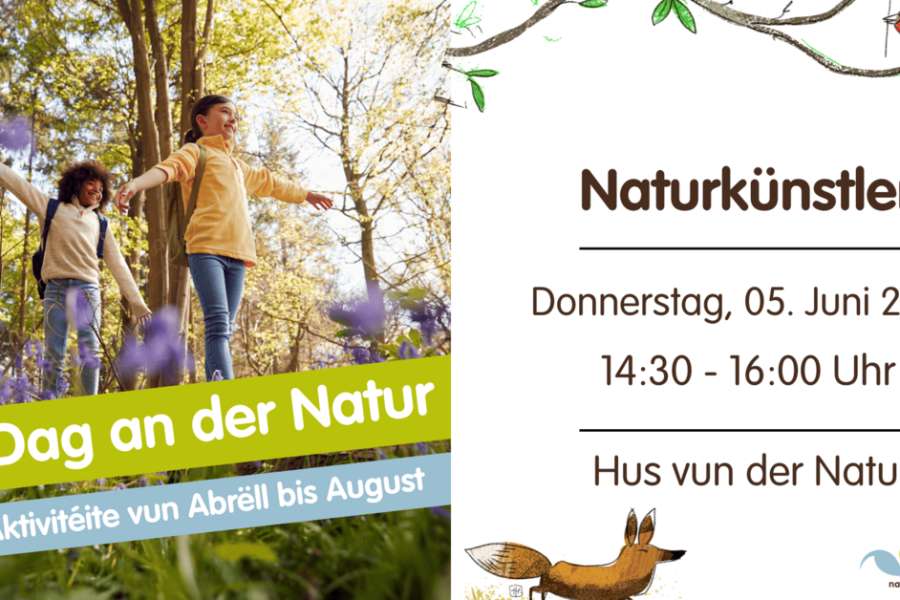 kideaz copyright event  artiste de la nature
