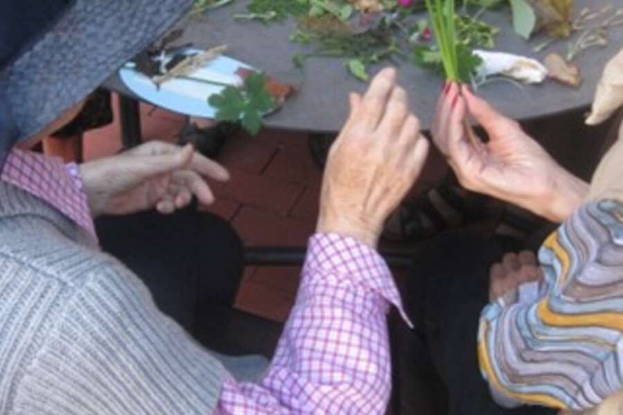 kideaz copyright event  gartentherapie workshops fr menschen mit vergesslichkeit