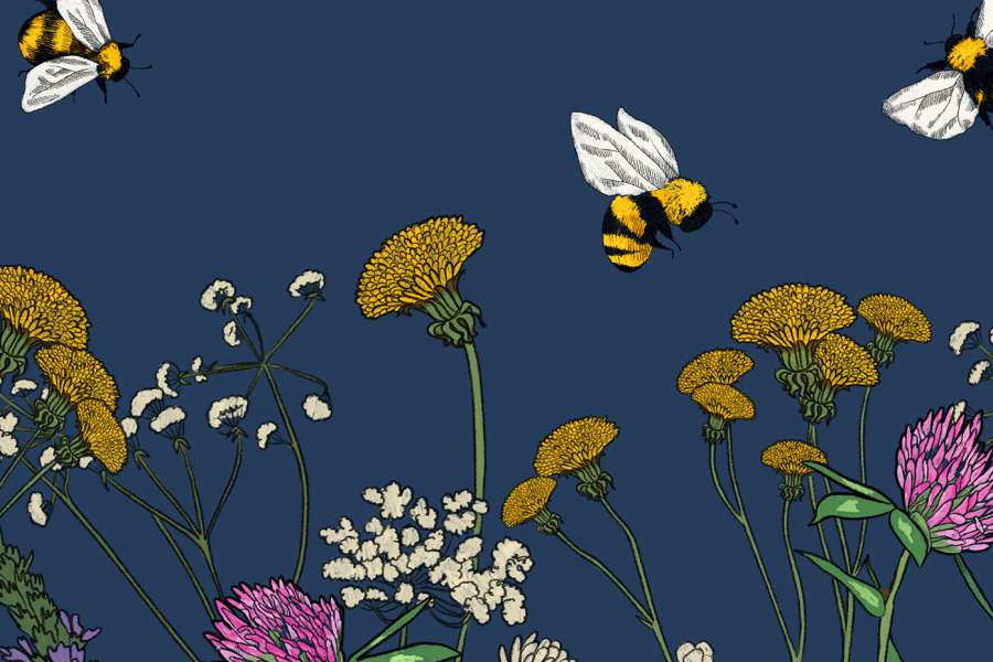 kideaz copyright event  les abeilles et lenvironnement apiculture durable guide pour linstallation de ruches
