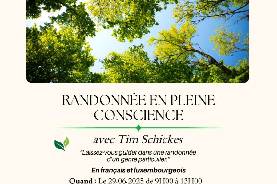 kideaz copyright event  randonne en pleine conscience