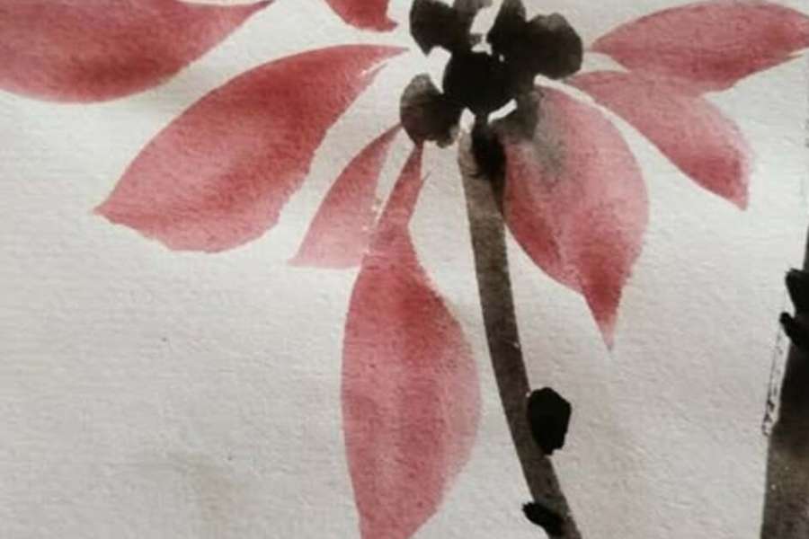 kideaz copyright event  aquarelle chinoise