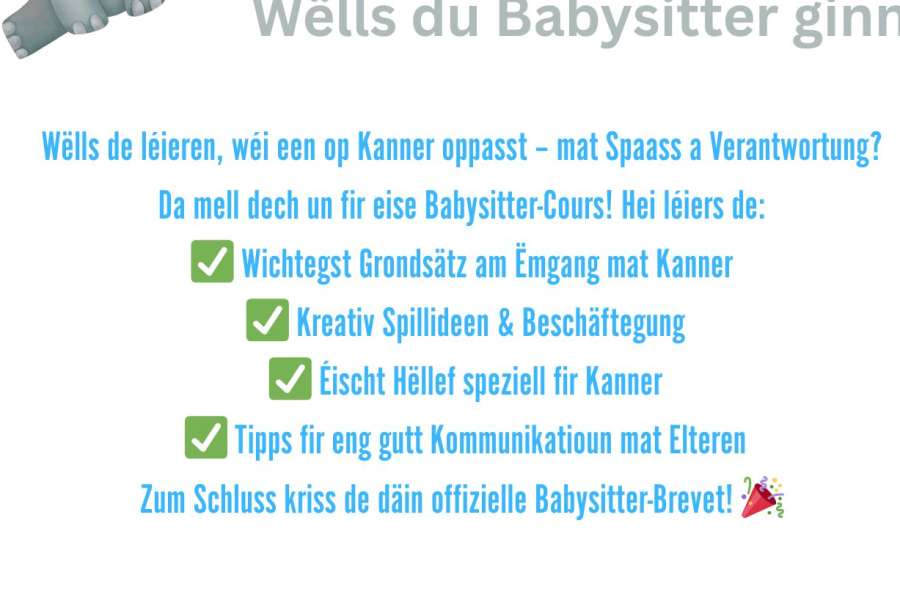 kideaz copyright event  formation babysitting