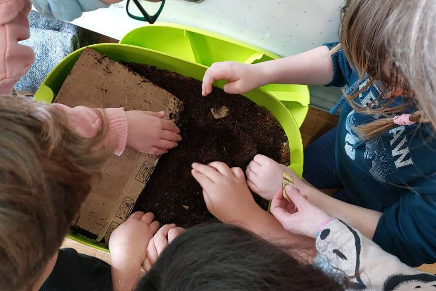 kideaz copyright event  turning waste into gold the power of vermicompost for kids