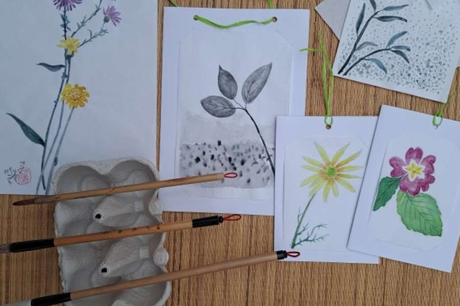 kideaz copyright event centre nature et foret ellergronn  aquarelle chinoise dobservation daprs nature