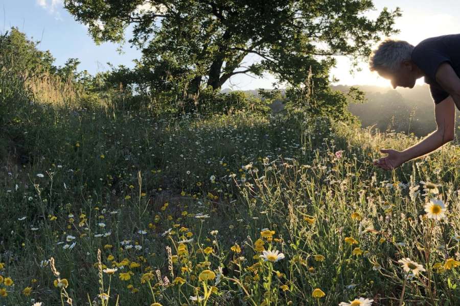 kideaz copyright event  from soil to soul a journey into regenerative agriculture