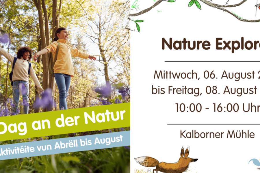 kideaz copyright event  nature explorer