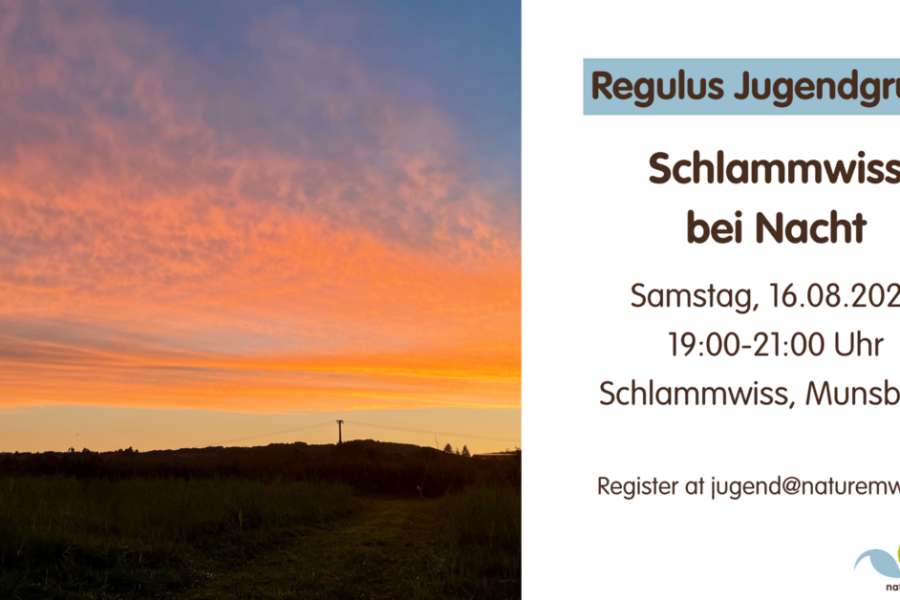 kideaz copyright event  schlammwiss de nuit