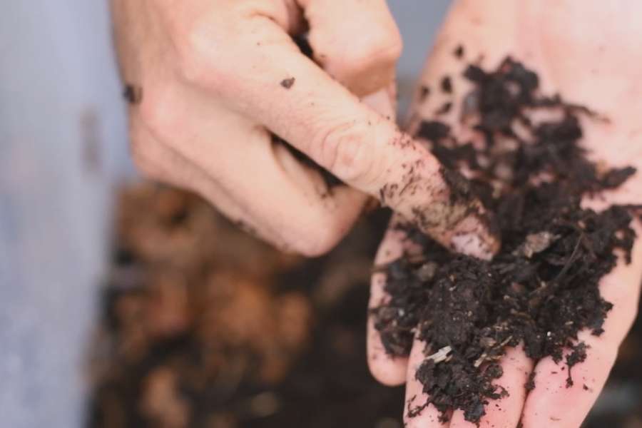 kideaz copyright event  vermicomposting made easy turn your waste into life