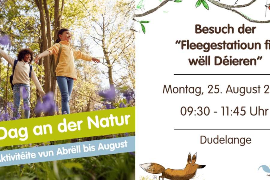 kideaz copyright event  visite de la fleegestatioun fir wll dieren