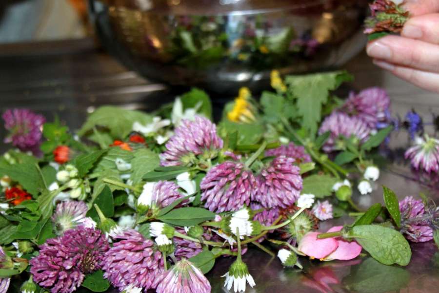 kideaz copyright event  workshop gesundheitspflege