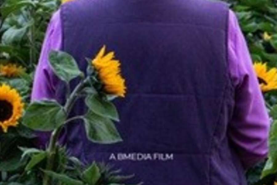 kideaz copyright event cine utopia  sunflowers british irish film festival luxembourg