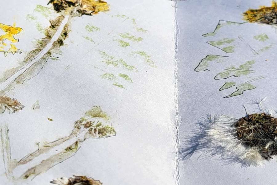 kideaz copyright event manukultura  die natur entdecken und erleben