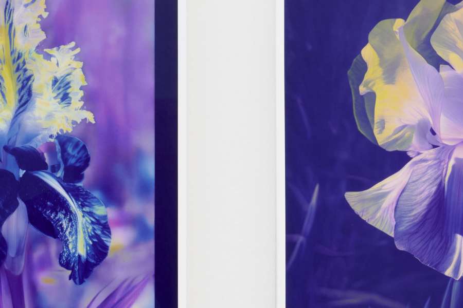 kideaz copyright event mudam  printmaking lab sunprint