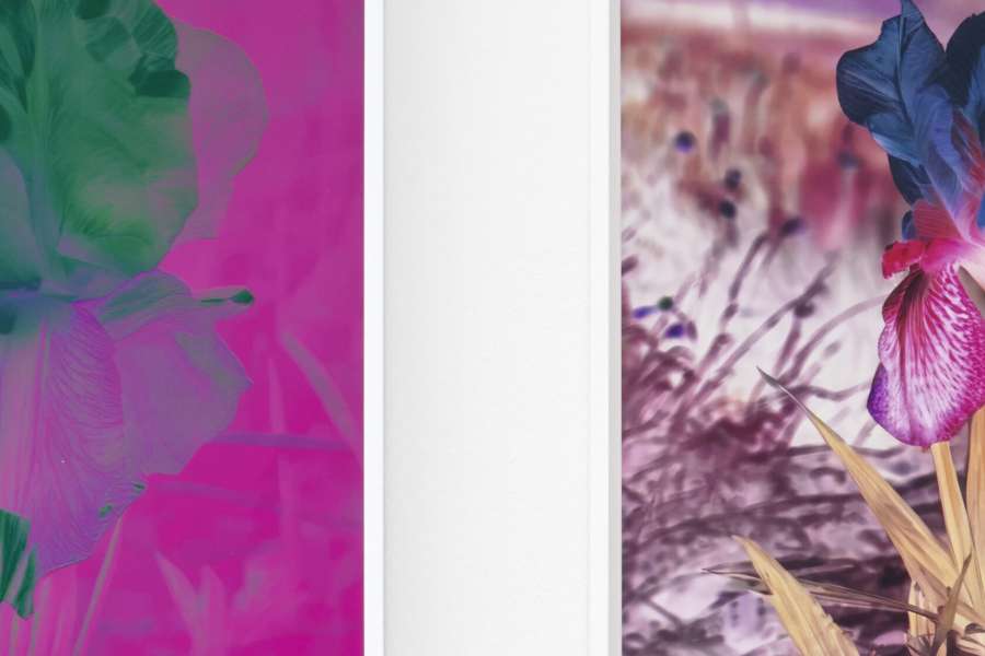 kideaz copyright event mudam  sunprints