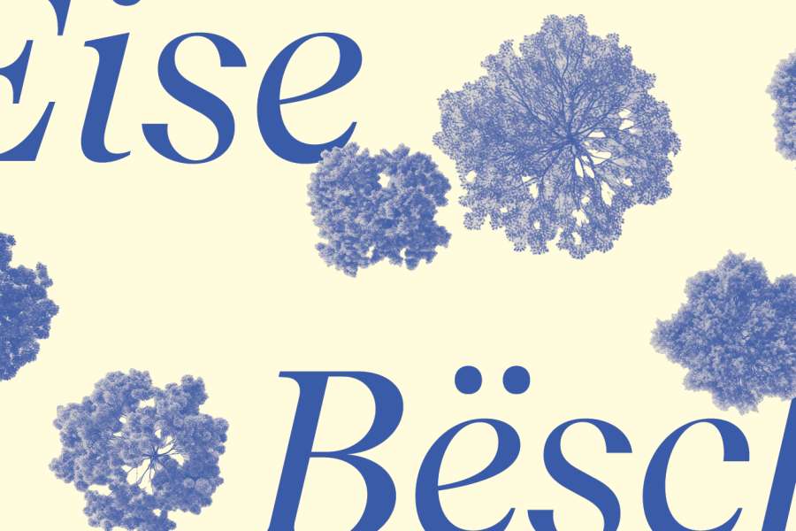 kideaz copyright event cercle cite  eise bsch