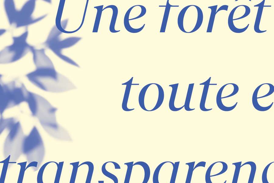 kideaz copyright event cercle cite  une fort toute en transparence