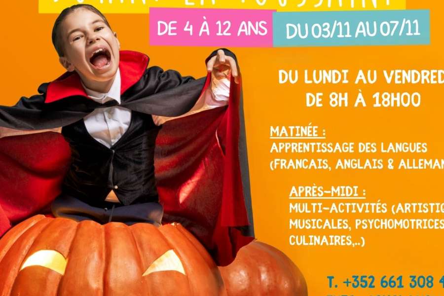 kideaz copyright formulaire fiche stage de langues pour latoussaint