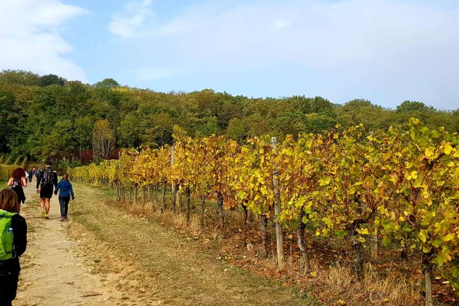 kideaz copyright event auberge de jeunesse remerschen schengen  randonne wellbeing entre les ftes de fin danne remerschen