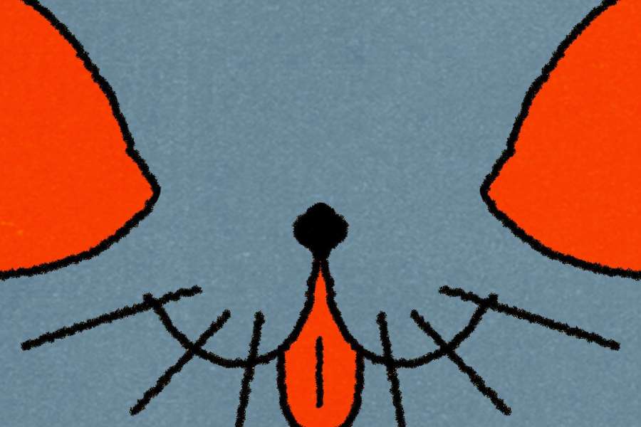 kideaz copyright event casino luxembourg  est ce de lart