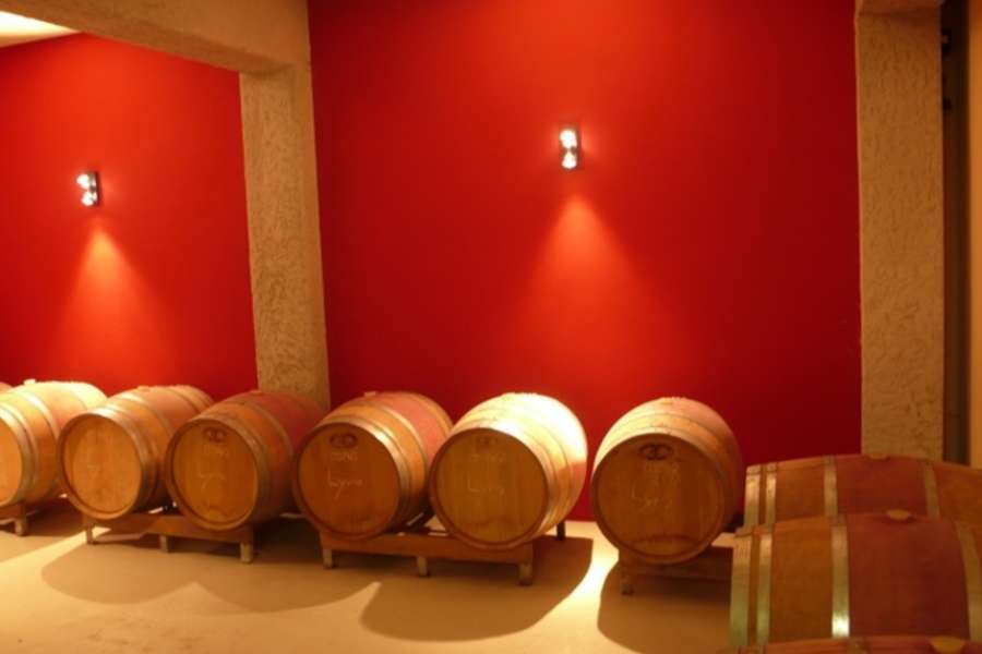 kideaz copyright event domaine viticole schumacher knepper  week end de dgustation