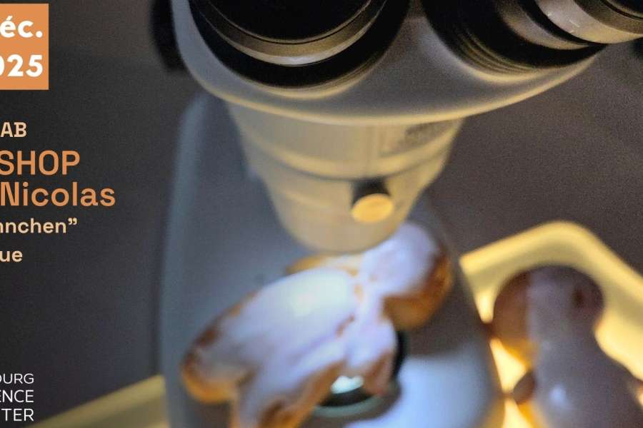 kideaz copyright event luxembourg science center  kitchen lab workshop saint nicolas