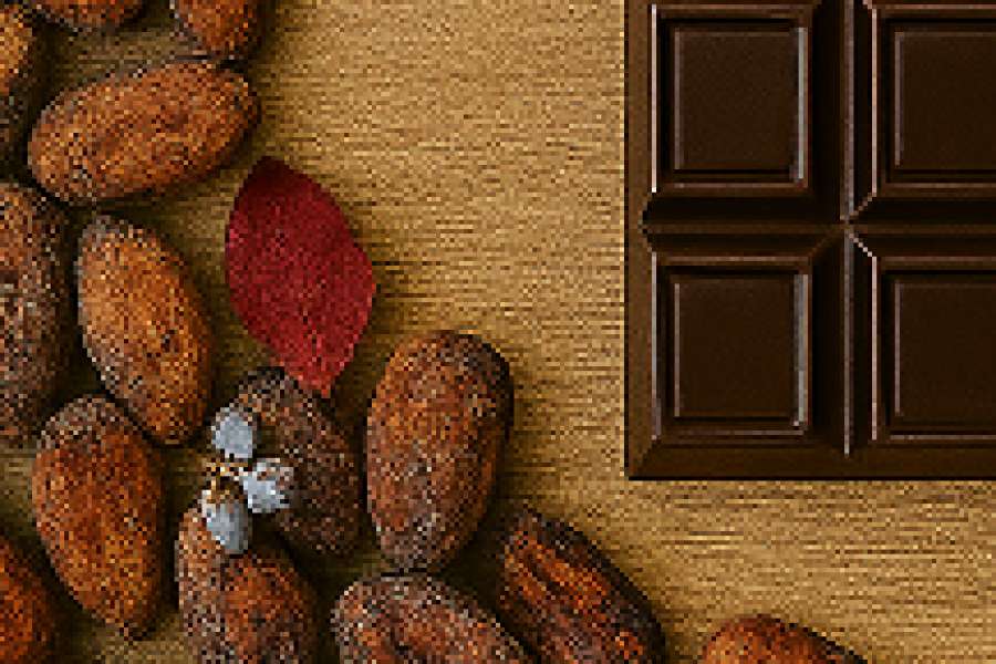 kideaz copyright event mosaique club club senior a esch alzette  atelier dcouverte du chocolat