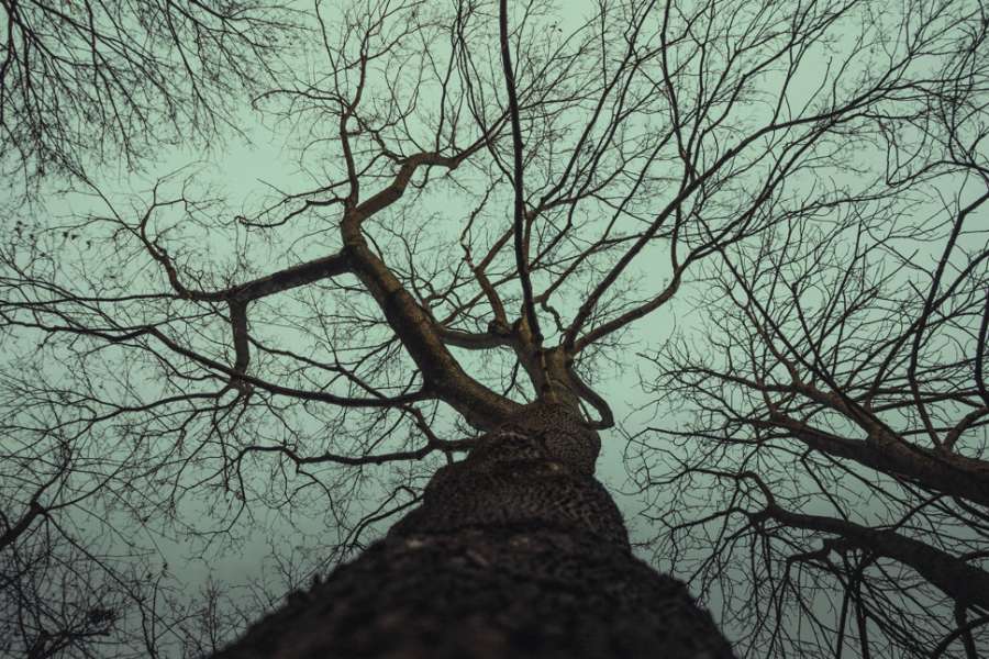 kideaz copyright event villa vauban  tuffi atelier 4 10 sylvie ory