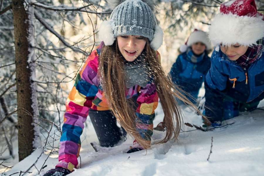 kideaz copyright event  die walddetektive