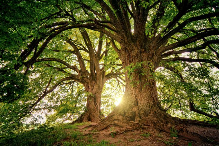 kideaz copyright event  tuffi pro atelier 6 9