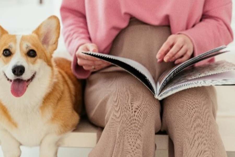 kideaz copyright event ewb erwuessebildung  lieshond 1