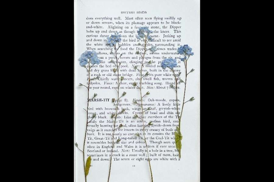 kideaz copyright event bibliotheques mediatheques de metz  atelier marque pages poetiques