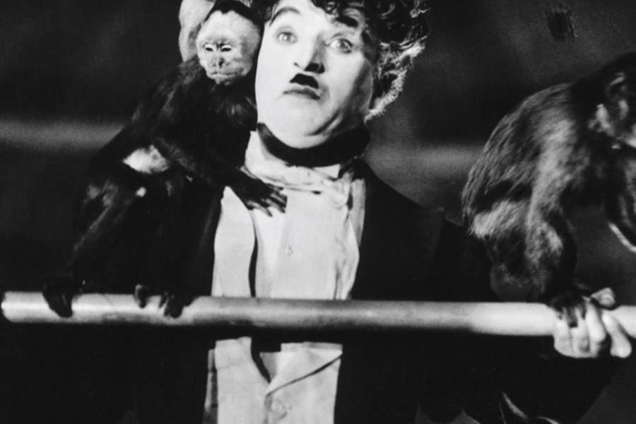 kideaz copyright event philharmonie  live cinema family edition the circus