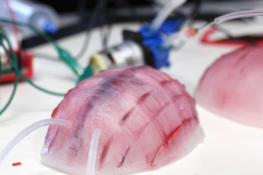 kideaz copyright event rotondes  multiplica lab works in progress parasites