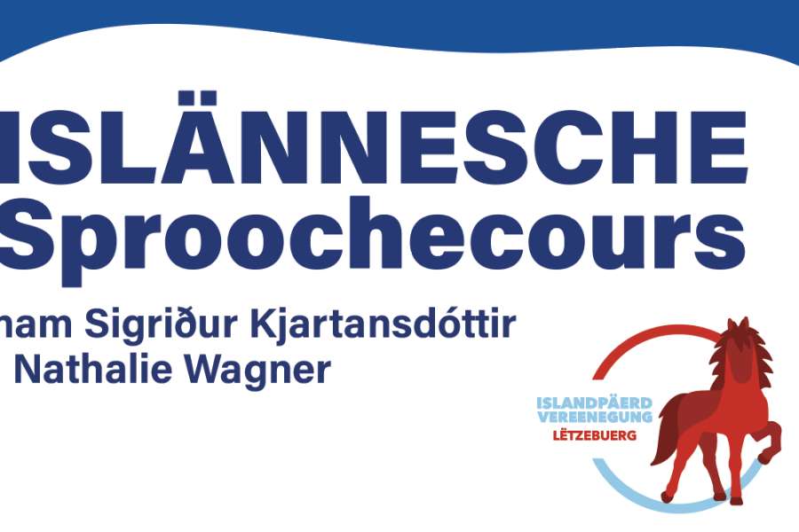 kideaz copyright event  cours de langue islandais