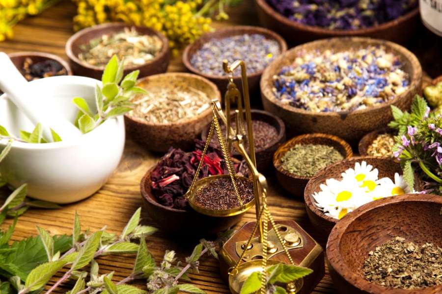 kideaz copyright event  flora fabulosa meine wilden kruterfreunde