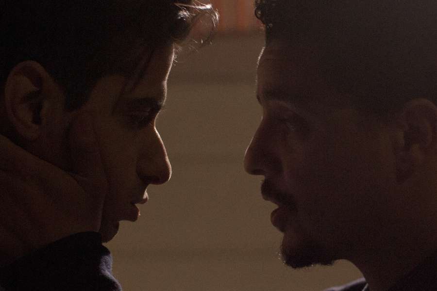 kideaz copyright event aalt stadhaus  animals