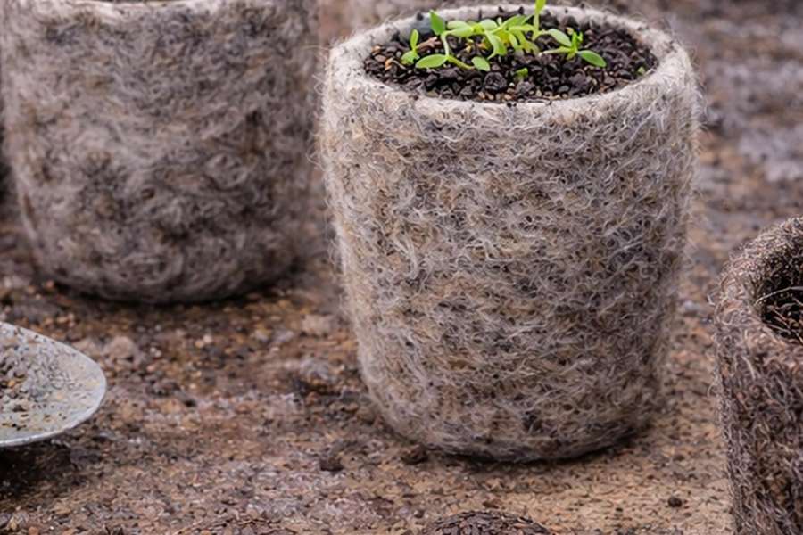 kideaz copyright event biodiversum centre nature et foret  la laine rencontre le jardin