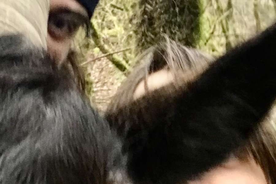 kideaz copyright event casino luxembourg  aisinas de cant