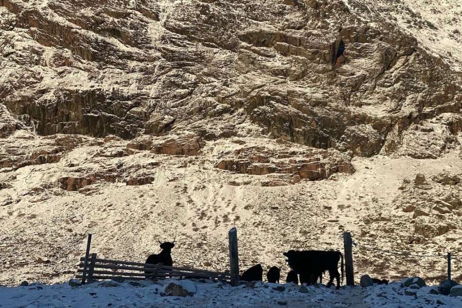 kideaz copyright event casino luxembourg  critical realism returns from anti fascist counter cartography to the infrastructural critique of supply chain analysis