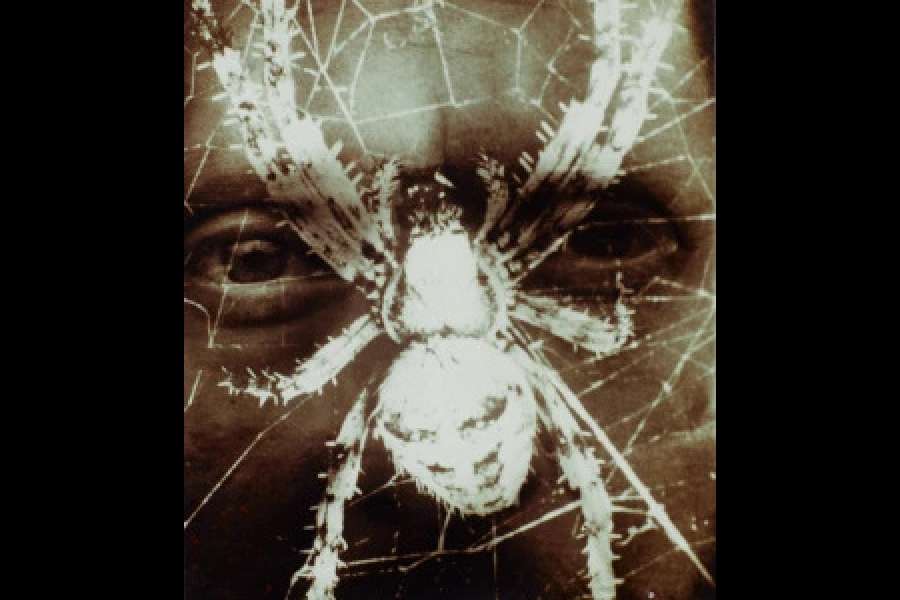 kideaz copyright event centre pompidou metz  les films de michel nedjar