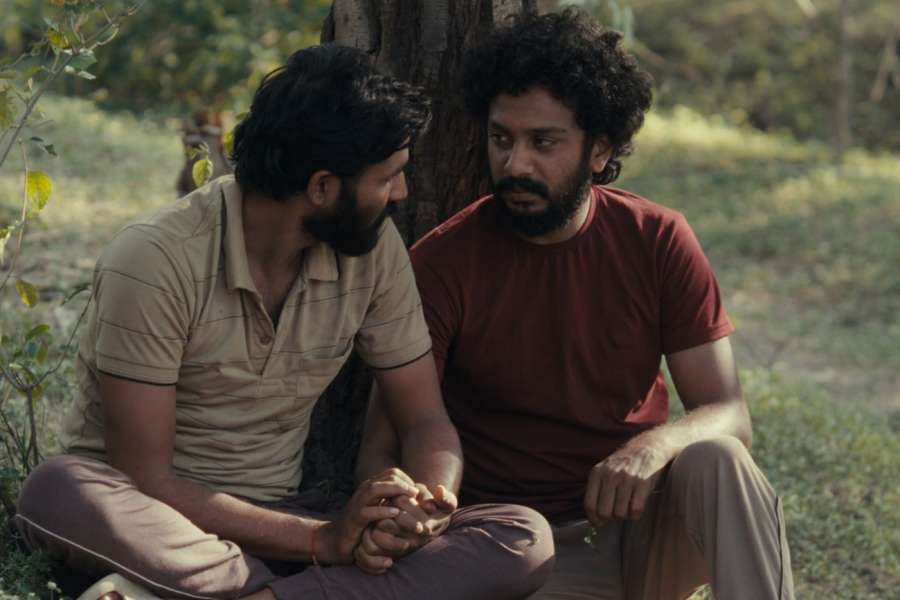 kideaz copyright event cine utopia  cactus pears luxfilmfest