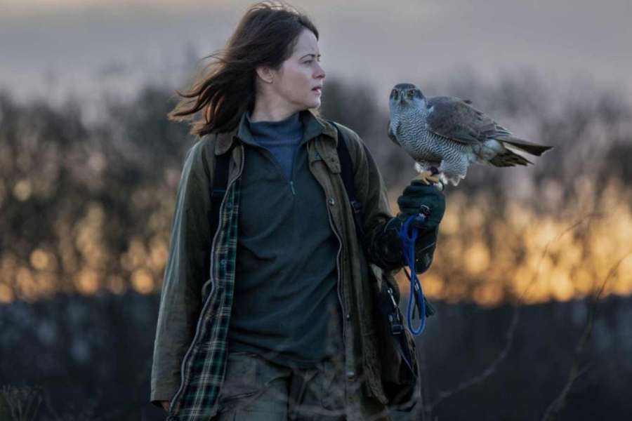 kideaz copyright event cine utopia  h is for hawk luxfilmfest