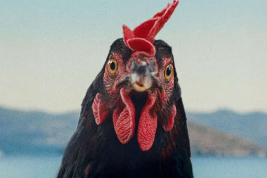 kideaz copyright event cine utopia  hen kota luxfilmfest